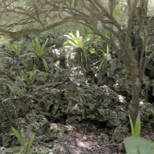 Anapala Path 2